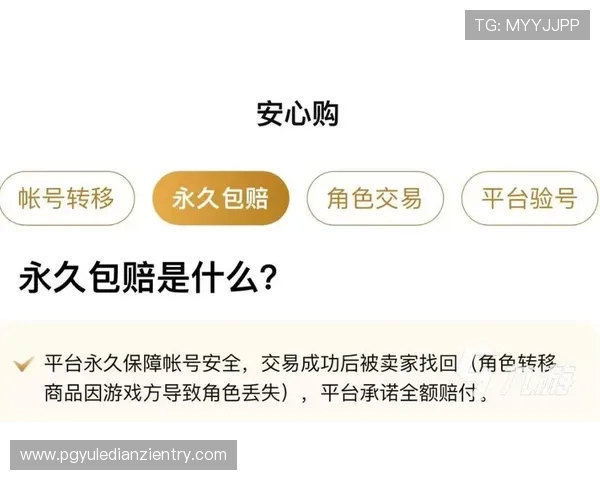 全面解析PG网站推荐策略,提升你的游戏体验和账号安全保障的实用技巧 全面解析PG网站推荐策略,提升你的游戏体验和账号安全保障的实用技巧