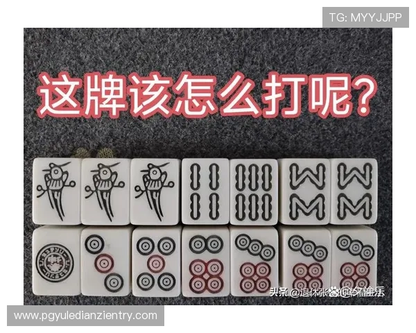 PG电子正版麻将胡了玩家心得分享，学习高手的实战经验提升自己的游戏水平